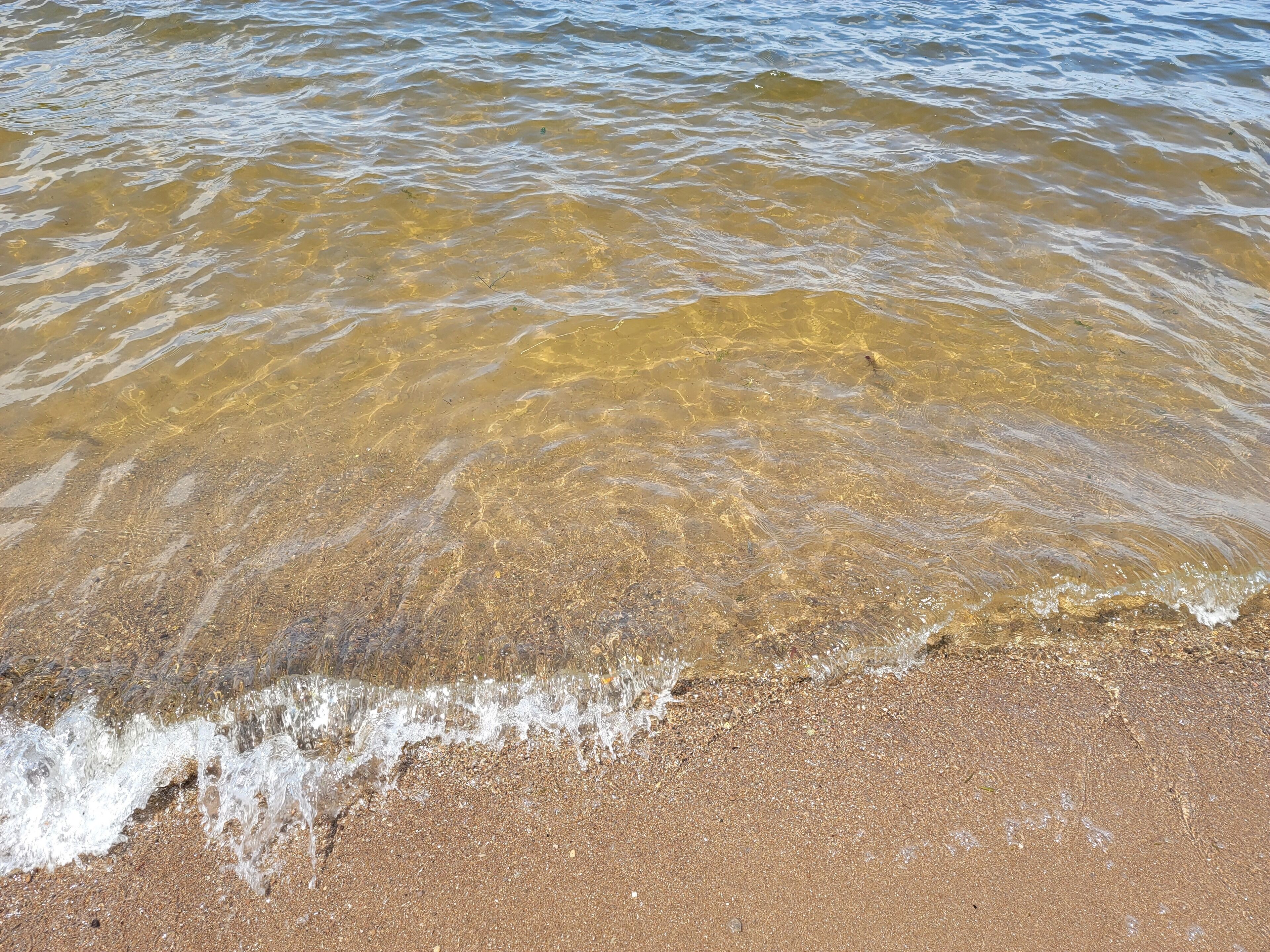 Vlak bij het strand
