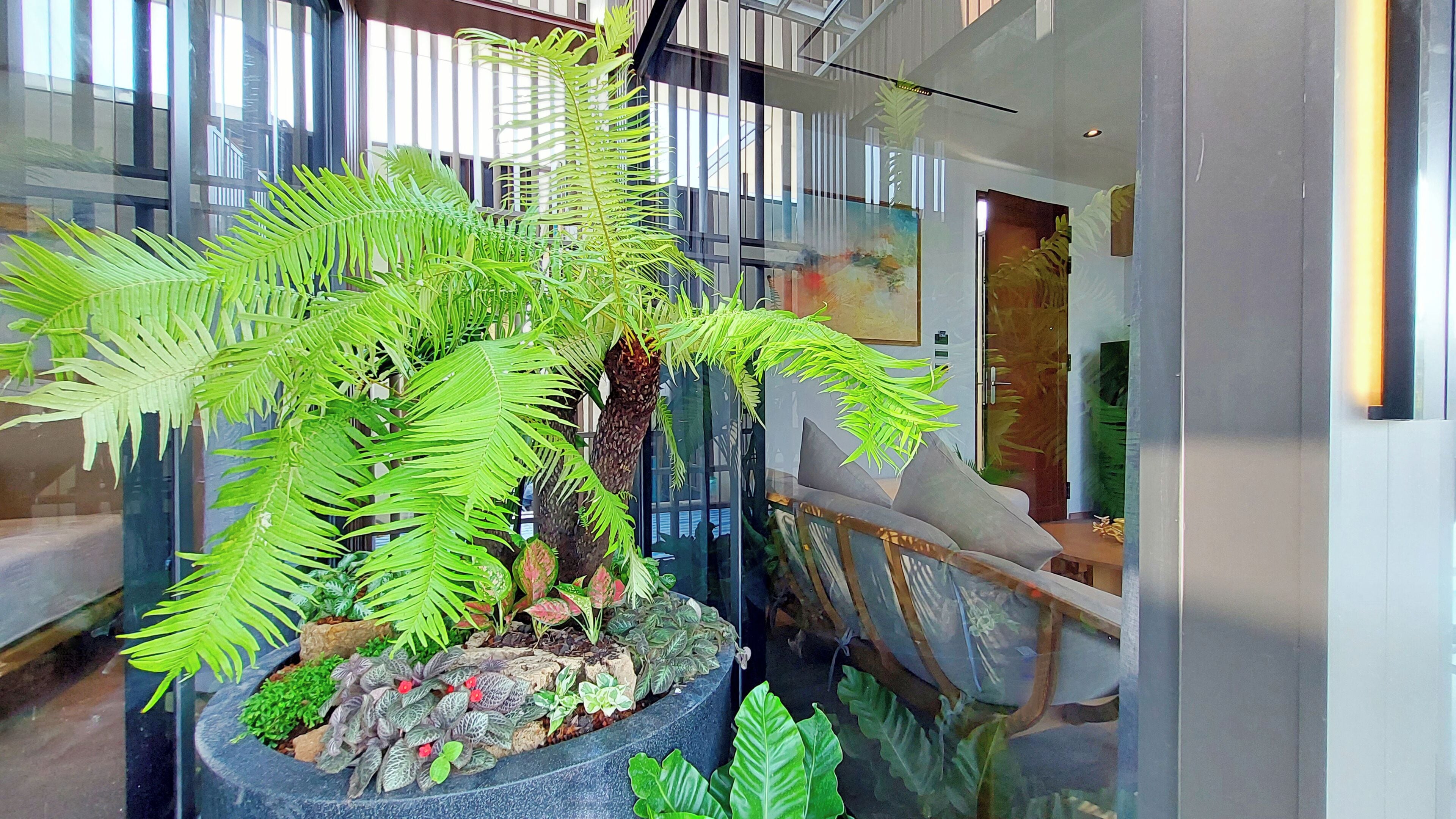 Foto - SHAN Villas Sukhumvit ฌานวิลล่า สุขุมวิท