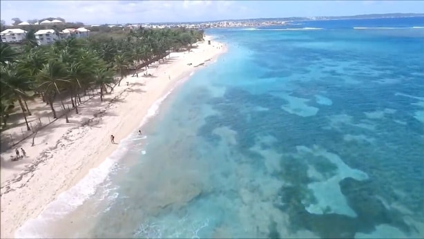 A beach with clear turquoise water, palm trees, and a few people. - Ocean view, 2-minute walk to the beach (Le Moule)