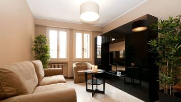 TV, video games, DVD player, books