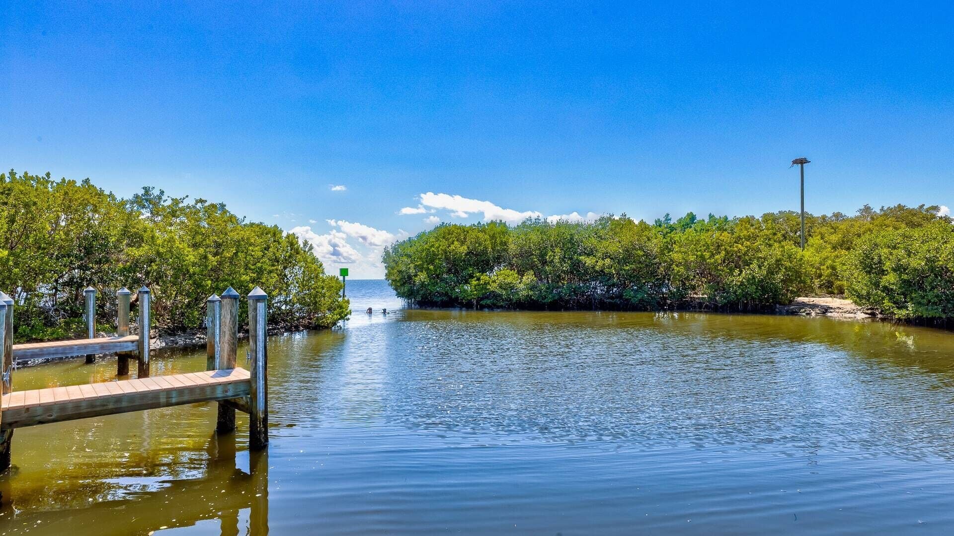 A calm waterway flanked by dense mangrove trees, a wooden dock, and a distant view of the horizon.