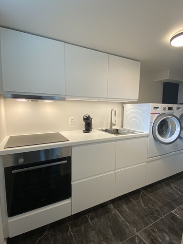 Newly renovated basement apartment with nice view