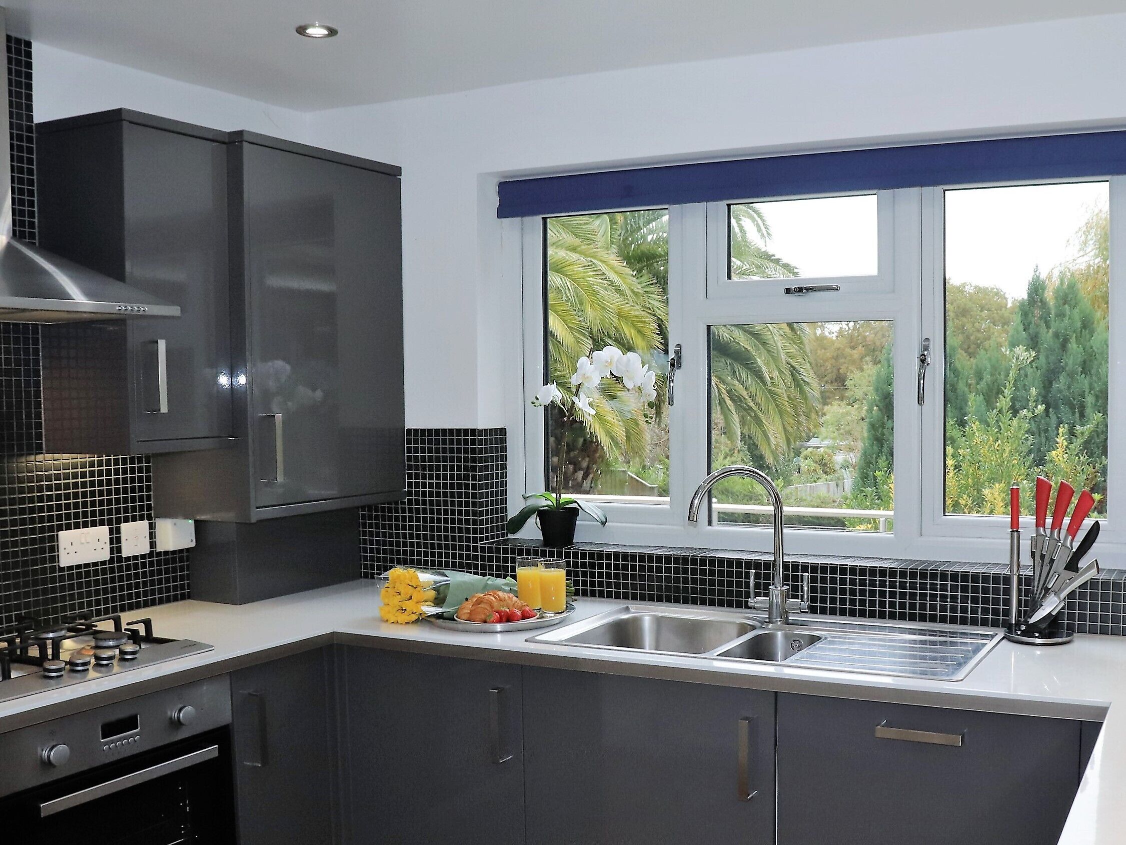 Een koelkast, een microgolfoven, een oven, een vaatwasser