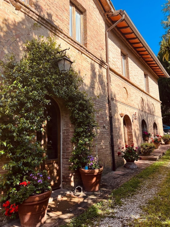 Detalle exterior