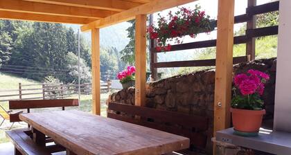 CHALET THE QUIET OF TREGIOVO. CIN - IT022253C25N9E275K Trentino/South Tyrol