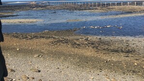 A rocky beach with a pier extending into the water. - Waterfront duplex in the heart of the historic center (Roscoff)