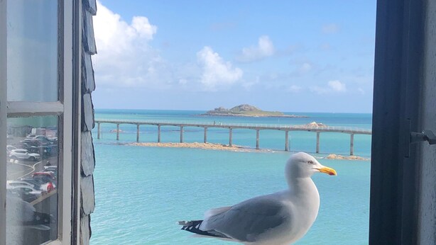 A seagull on a windowsill overlooking a clear blue sea with a bridge and distant island. - Waterfront duplex in the heart of the historic center (Roscoff)