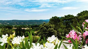 Un jardín con flores blancas y rosadas, un sendero y vistas a colinas y árboles distantes.