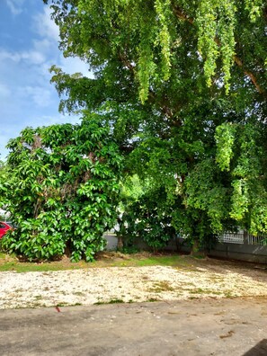 Property grounds - cerca de centros comerciales  y playas  (Vega Alta)