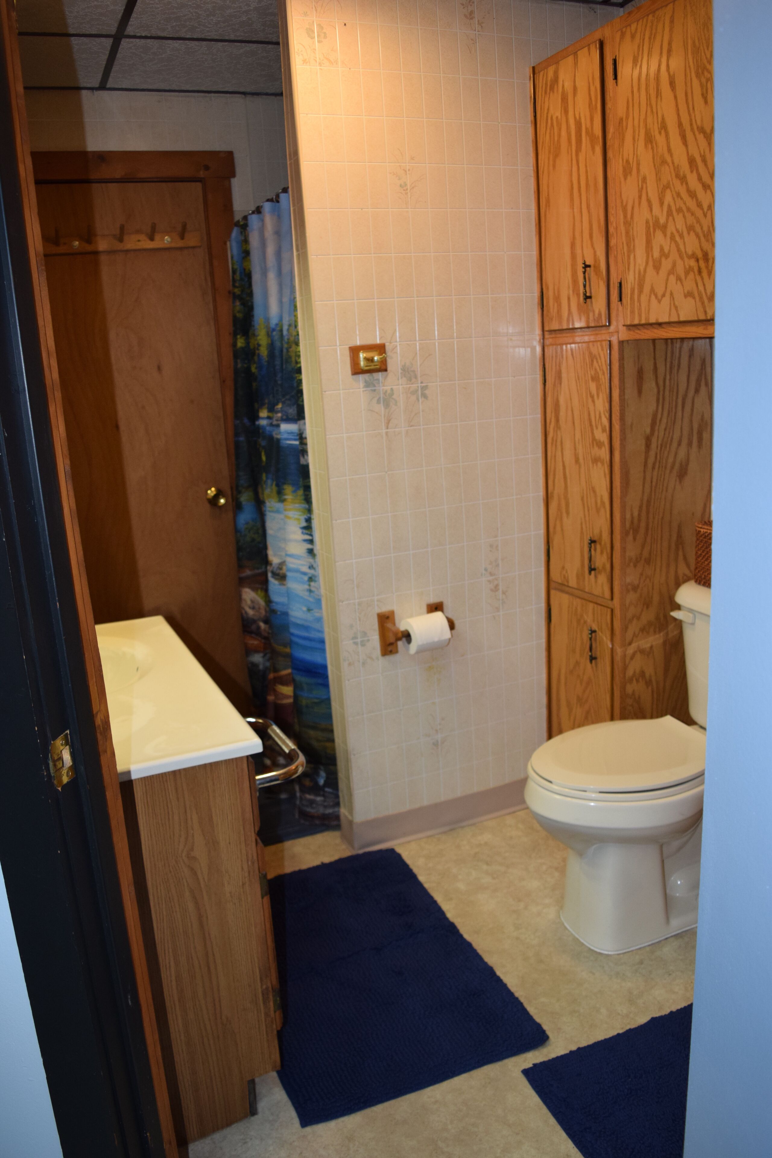 A bathroom with a toilet, wooden cabinets, a shower curtain, and a blue rug.