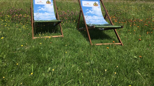 Dos sillas de playa con un diseño estampado, ubicadas en un campo cubierto de césped y flores silvestres.