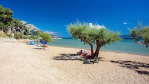 Ein Strand mit klarem, blauem Wasser, einem Baum und Liegestühlen.