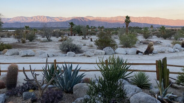 A desert landscape with cacti and a wooden fence. - Desert Oasis with Pool, Fire Pit, Game Room, and Dry Bar (Borrego Springs)