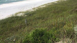 A beach with white sand and a grassy foreground. - Family Beach Escape! Pool Access + Kayaks, Bikes & Paddleboard Included (Santa Rosa Beach)