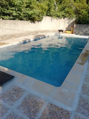 Outdoor pool - Provencal villa with swimming pool in the heart of nature (Gonfaron)