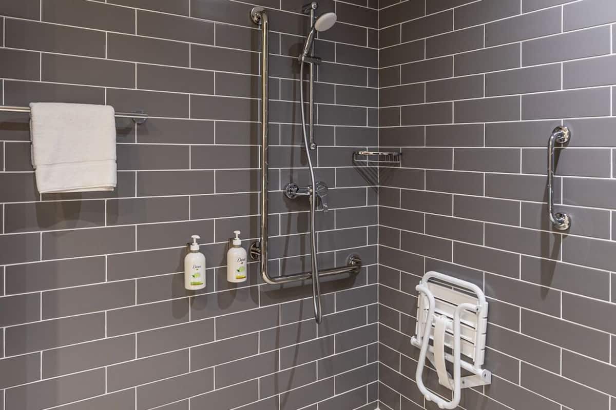 shower, free toiletries, hair dryer, towels