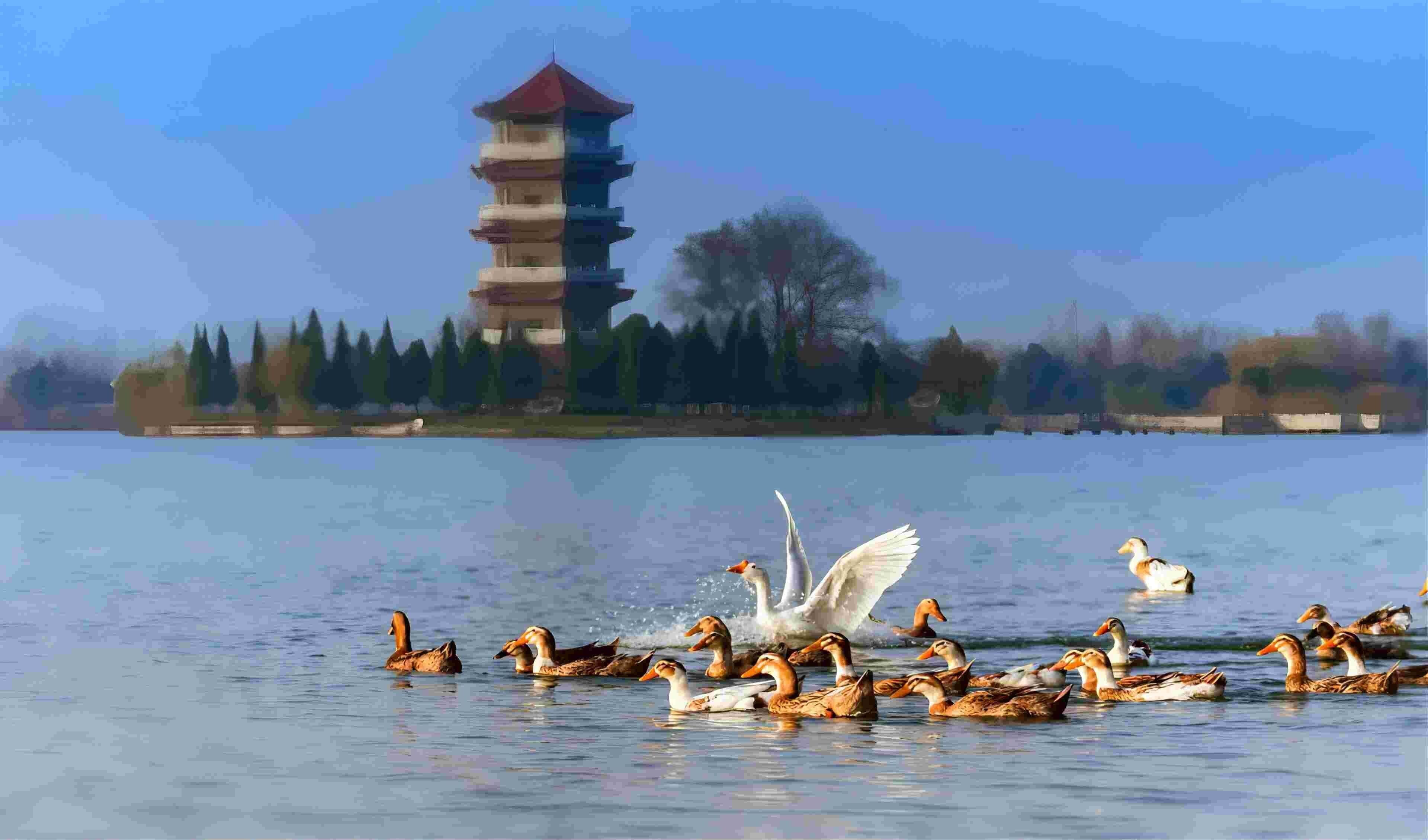 A tower with multiple levels and a reflection in the water.
