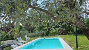 Piscina rectangular con borde de baldosas, rodeada de follaje y árboles.