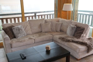 TV, fireplace, DVD player