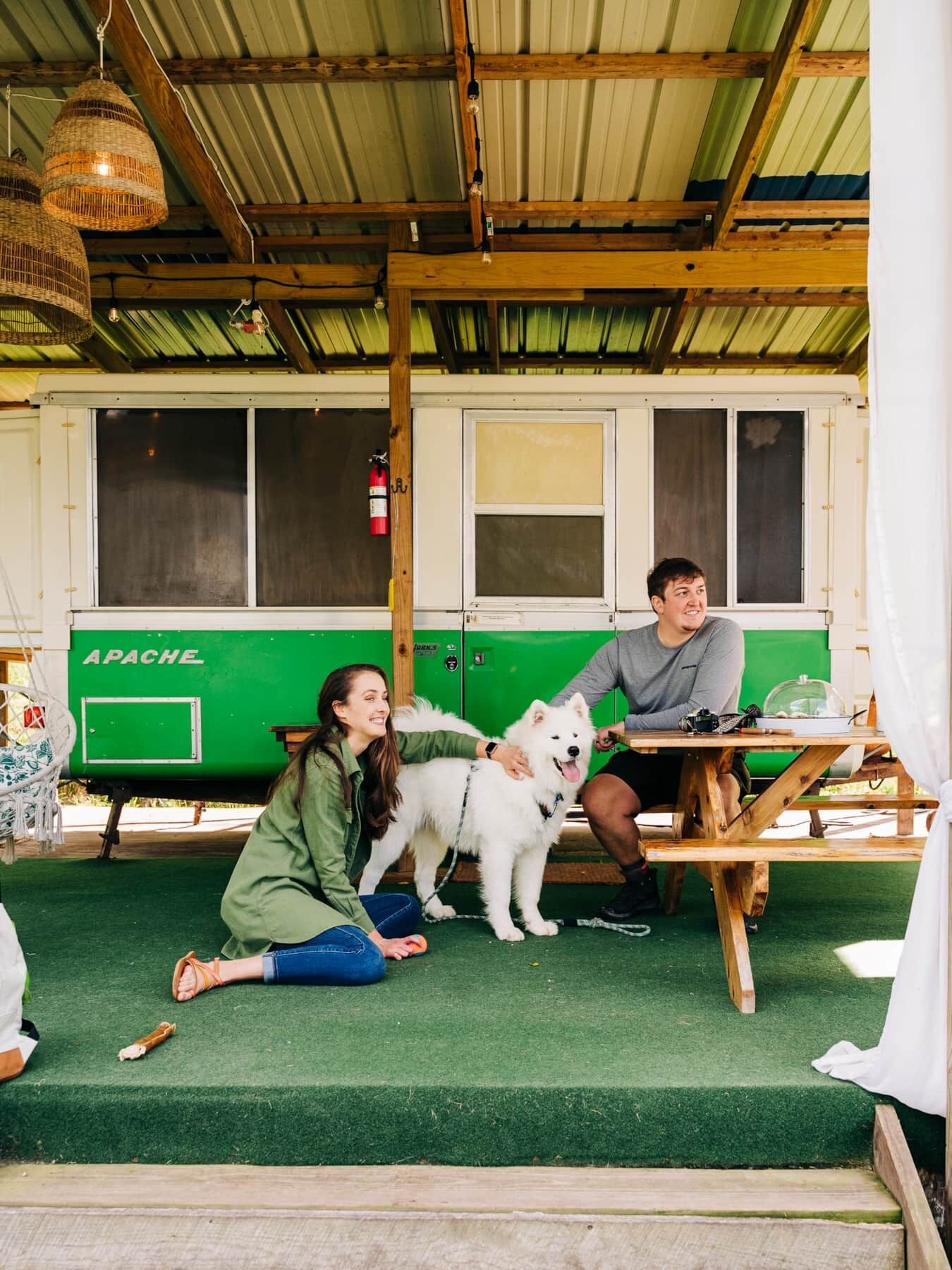 Un espace extérieur rustique aménagé avec une table et des bancs verts, un chien blanc et deux personnes qui interagissent.