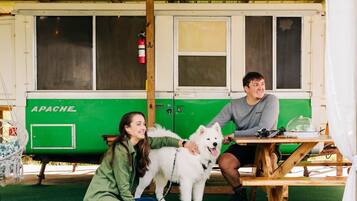 Un espace extérieur rustique aménagé avec une table et des bancs verts, un chien blanc et deux personnes qui interagissent.