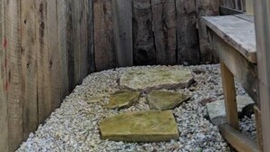 Puinen aita, jossa on metallinen portti, kivestä tehty polku ja puinen penkki.