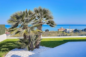 Property grounds - VILLA DARDA (Alcamo)