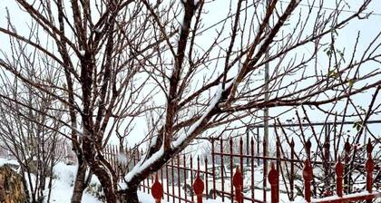 Minos Country Living Hannah Maria Suite