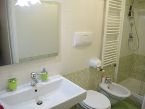 Shower, hair dryer, bidet, towels