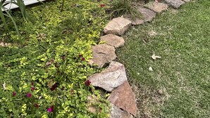 Una casa amb un camí de pedra que condueix a la porta principal, envoltada d'un jardí amb diverses plantes i flors.