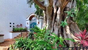 A courtyard with a large tree, a white building with a blue door, and a brick pathway. - Casa Tortuga @ Selva Romantica (Puerto Vallarta)