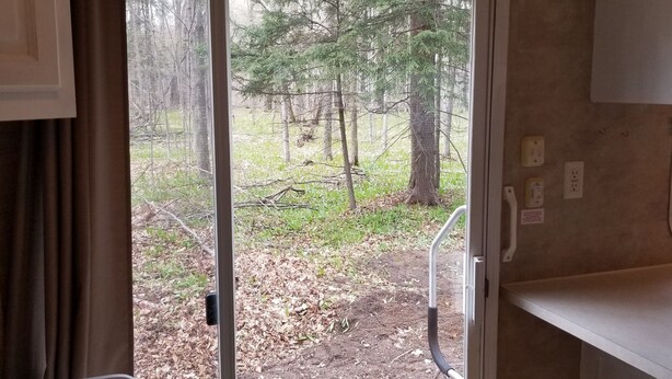 Vue de l’intérieur d’un camping-car ou d’un véhicule récréatif, à travers une porte coulissante, dévoilant une zone boisée avec des arbres et un sol en terre.