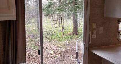 Crystal Camper - Large Two Bedroom Spacious RV w/Wooded Trail