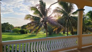 A covered outdoor area with a view of a well-maintained lawn and palm trees.