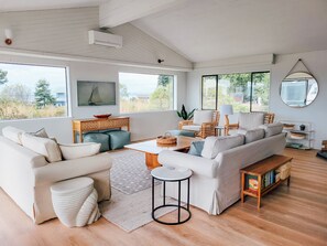 Smart TV, fireplace, books, music library