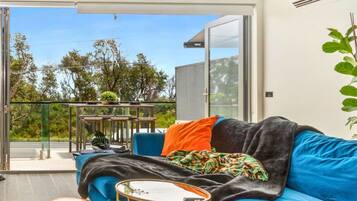 TV, fireplace, Netflix, streaming services