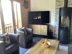 电视、壁炉、DVD 播放器