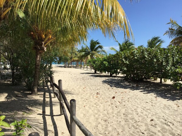 Plage à proximité, chaises longues, serviettes de plage
