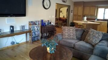 Televisión, chimenea y reproductor de DVD