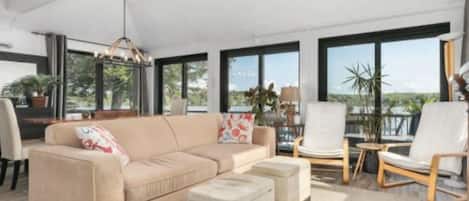 TV connectée, cheminée, lecteur de DVD, livres