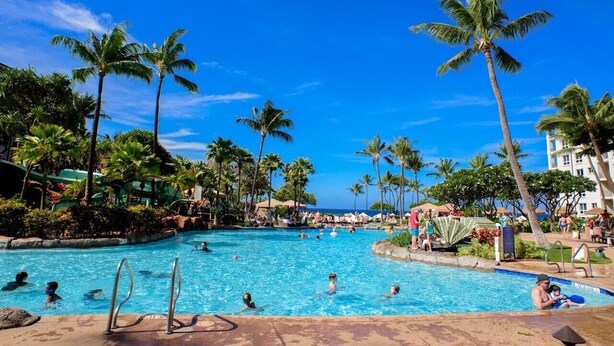 Une grande piscine extérieure entourée de palmiers, sous un ciel bleu et dégagé.