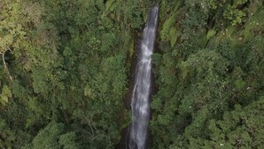 A waterfall surrounded by dense green foliage. - The round house in Filandia with waterfall (Filandia)