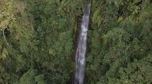 Property grounds - The round house in Filandia with waterfall (Filandia)