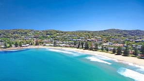 Beach - Watch the Whales - Breathtaking Views (Avoca Beach)