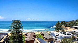 Beach - Watch the Whales - Breathtaking Views (Avoca Beach)