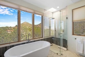 Shower, hair dryer, shampoo