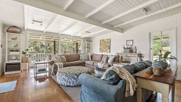 Smart TV, chimenea, reproductor de DVD, juguetes