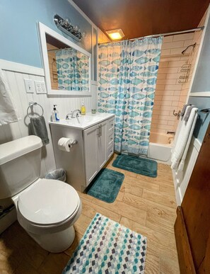 Shower, hair dryer, towels, toilet paper