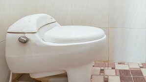 Eine weiße Toilette in einem Badezimmer mit Badezimmerfliesen in Beige- und Brauntönen.