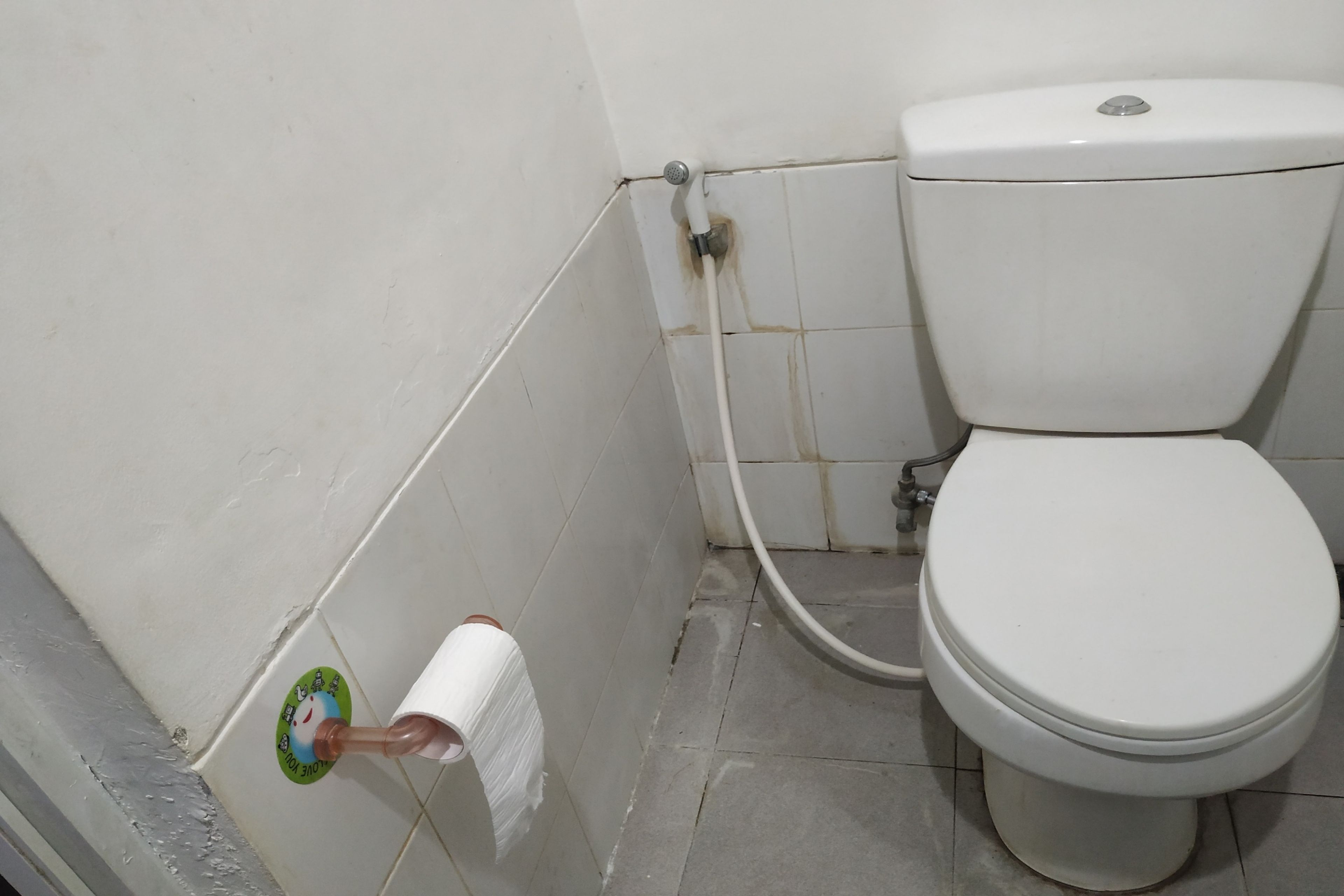 A toilet with a white tank and seat, a visible pipe, and a toilet paper holder with a roll on the wall.